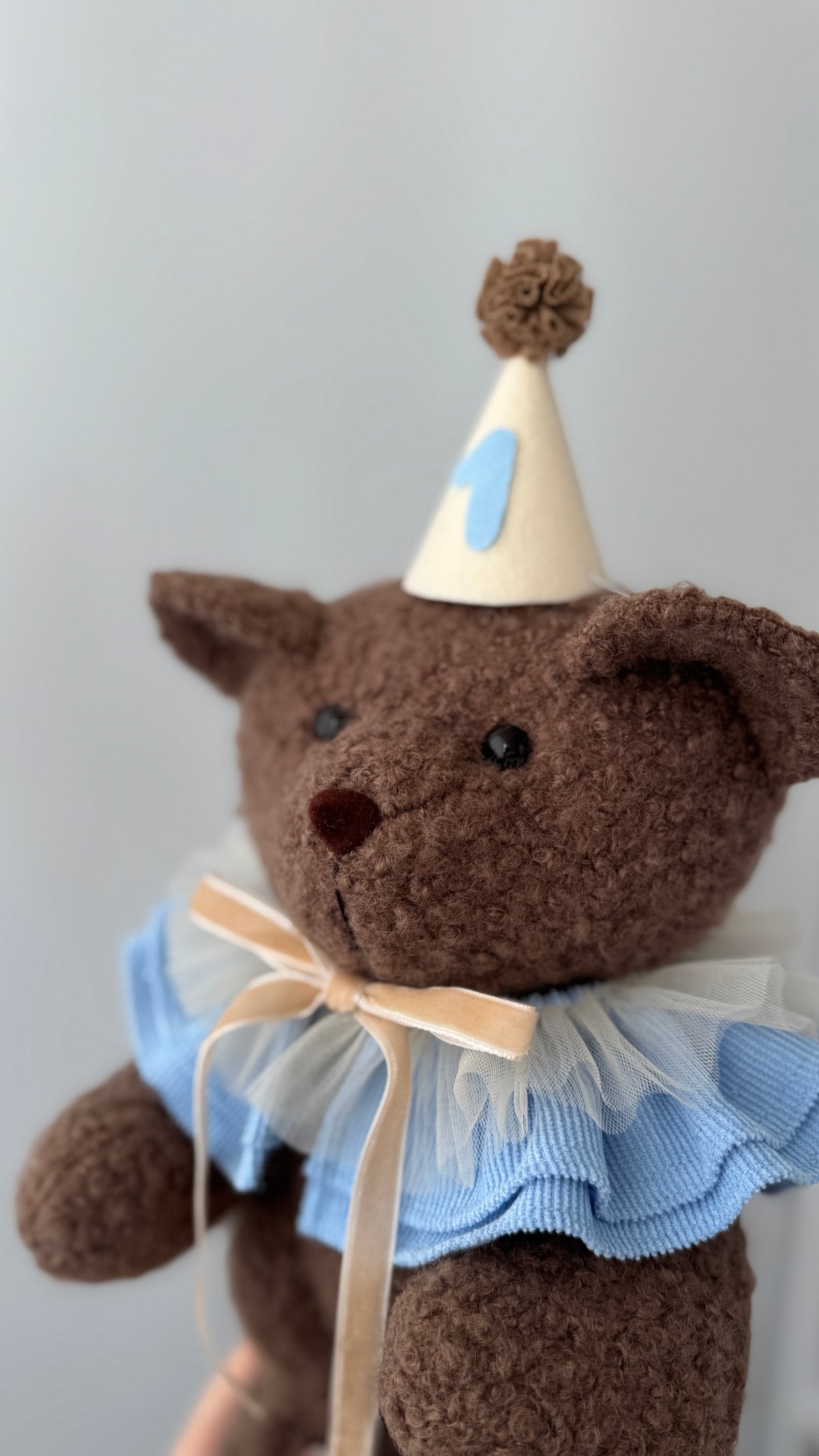 Primo piano di un orsetto marrone di peluche con colletto azzurro e cappellino col numero 1