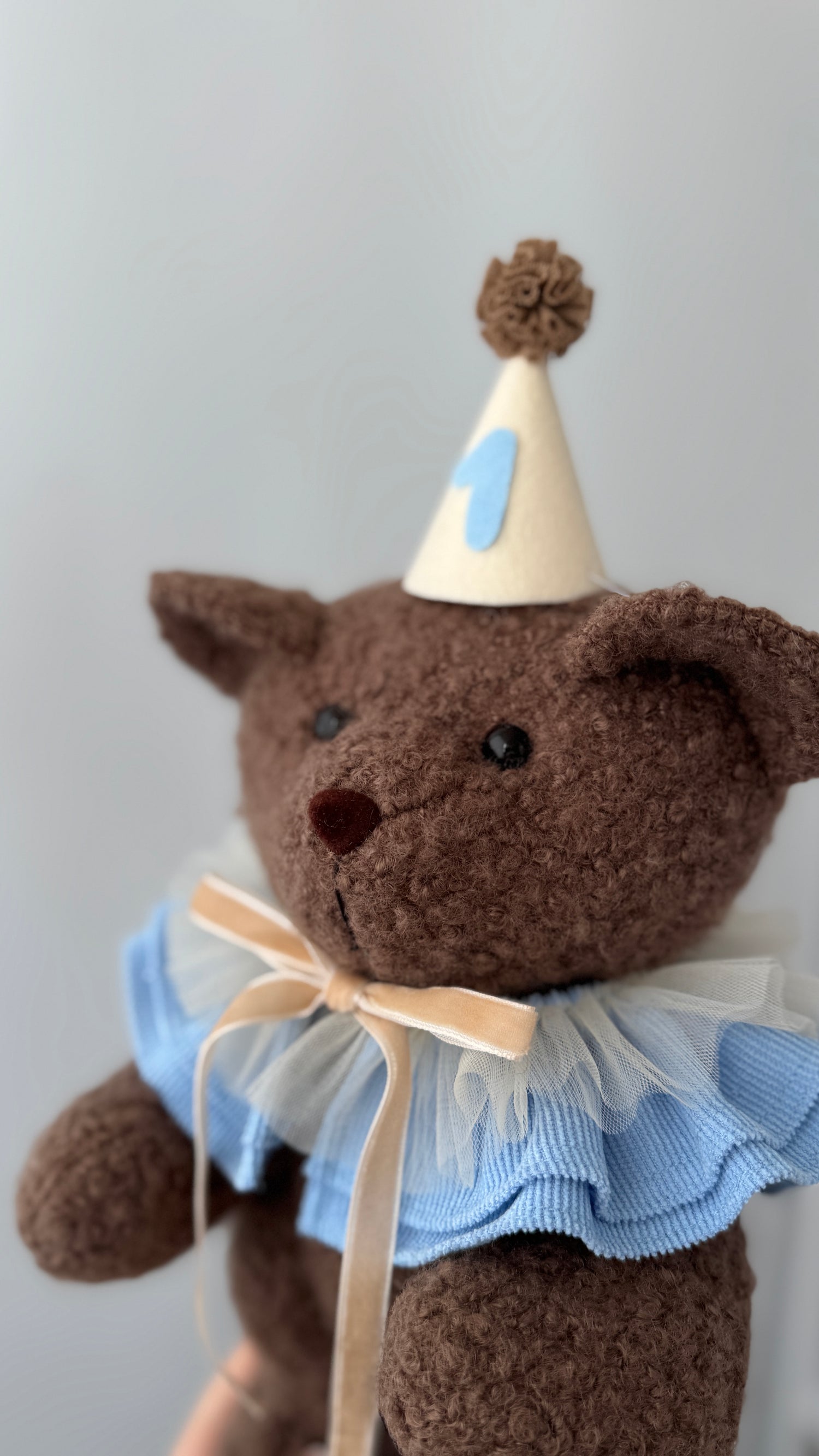 Primo piano di un orsetto marrone di peluche con colletto azzurro e cappellino col numero 1
